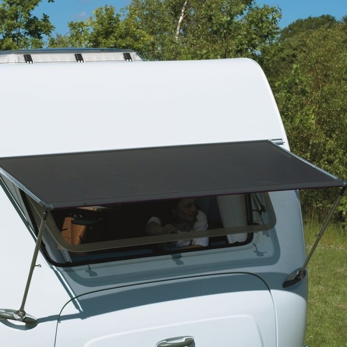 Window_Canopy.jpg