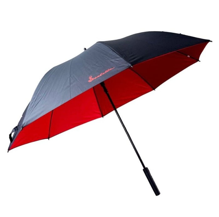 Umbrella_1-800px.jpg